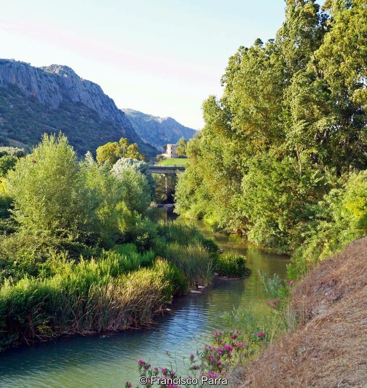 Casa Rural El Nacimiento Benaoján Εξωτερικό φωτογραφία