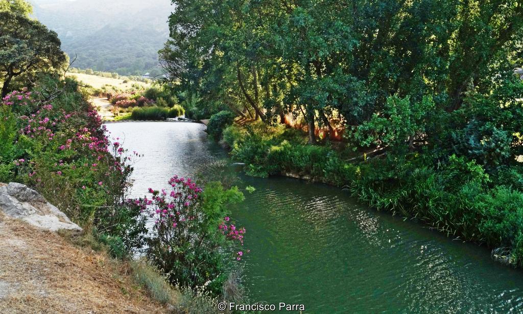 Casa Rural El Nacimiento Benaoján Εξωτερικό φωτογραφία