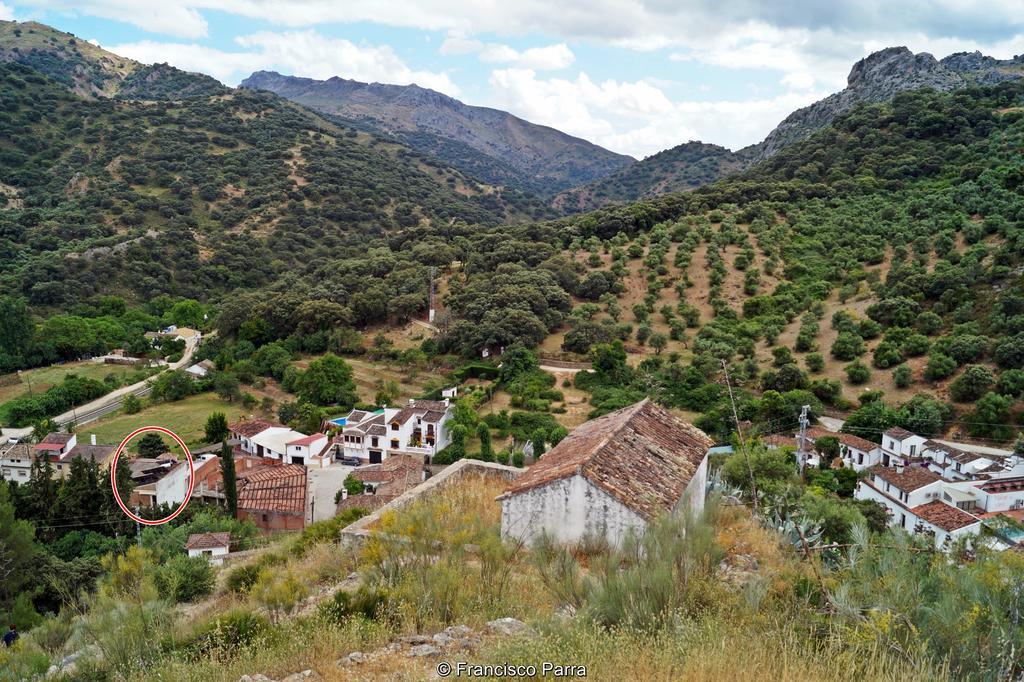 Casa Rural El Nacimiento Benaoján Εξωτερικό φωτογραφία