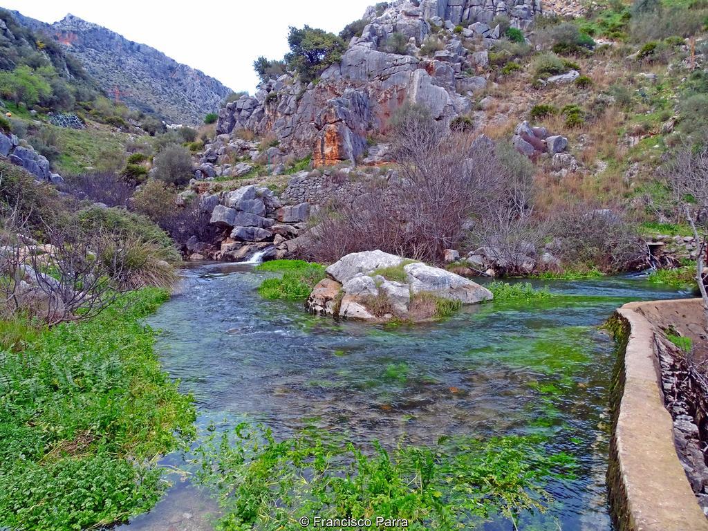 Casa Rural El Nacimiento Benaoján Εξωτερικό φωτογραφία