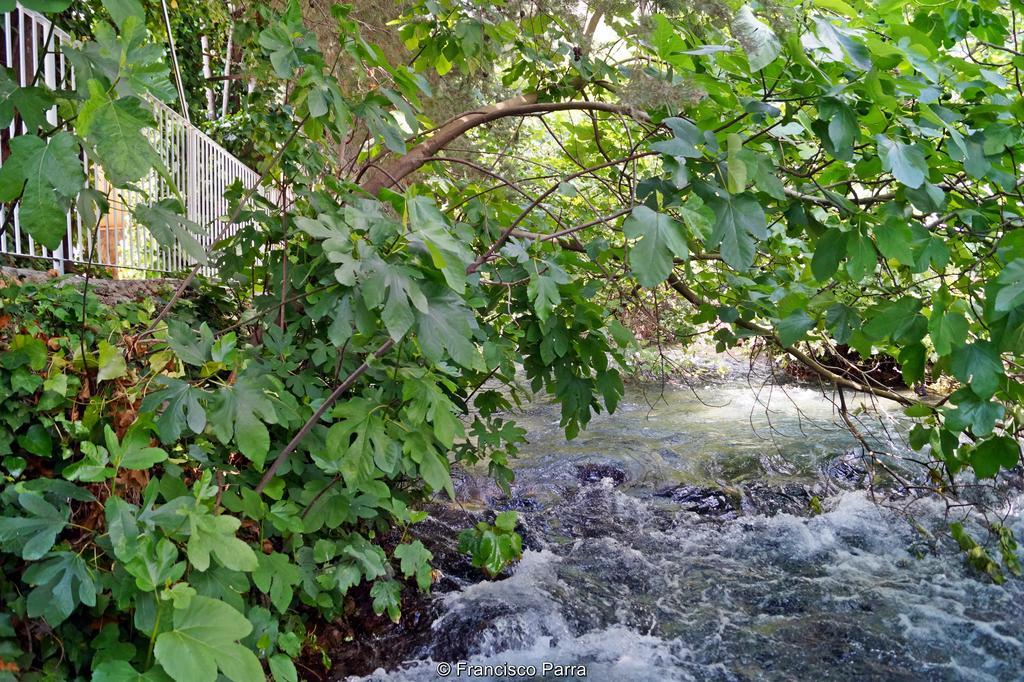 Casa Rural El Nacimiento Benaoján Εξωτερικό φωτογραφία